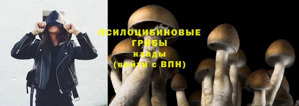 кокаин колумбия Богданович