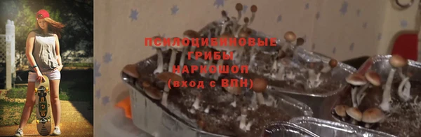 ПСИЛОЦИБИНОВЫЕ ГРИБЫ Богородицк