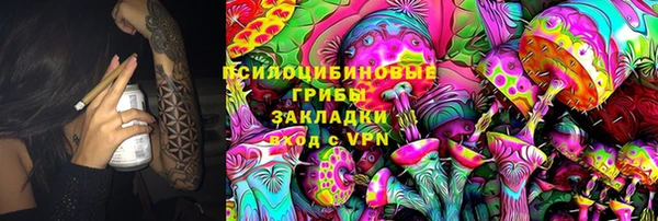 сатива Белоозёрский