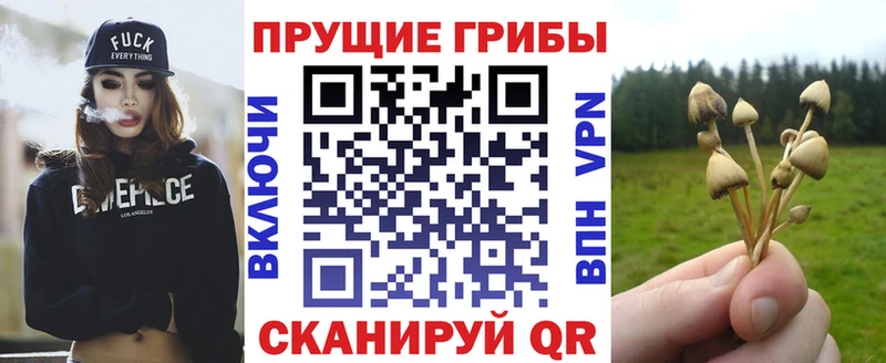 цена наркотик  Полесск  Псилоцибиновые грибы ЛСД 